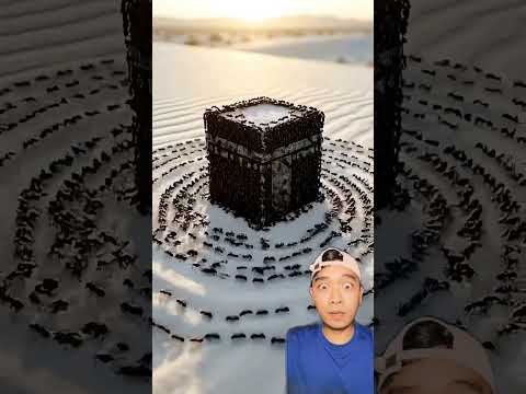 Semut hitam membuat sesuatu 😱 #viral #trending #youtubeshorts