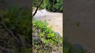 Download Mp3 Ngeri!! Banjir datang tiba-tiba dilokasi wisata Gudang lagu Download Mp3 Ngeri!! Banjir datang tiba-tiba dilokasi wisata