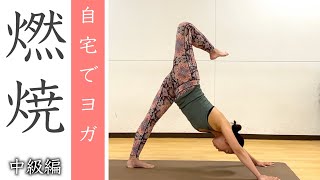 【フローヨガ】燃焼効果！たくさん動いて汗をかきましょう！