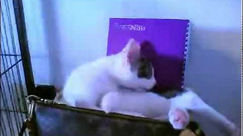 @jsakha [http://twitvid.com/PEJPY - Watch my video on #t...]