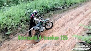 D-tracker 125​ ลำพูน​ ต้อม​กระชาย​ดำ​