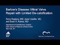 Barlows disease mitral valve repair with limited decalcification