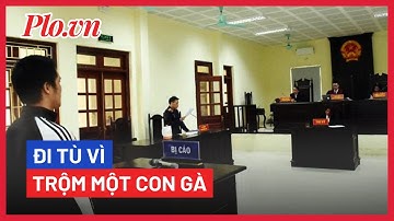 Cướp 1 con gà, lãnh 7,5 năm tù - PLO