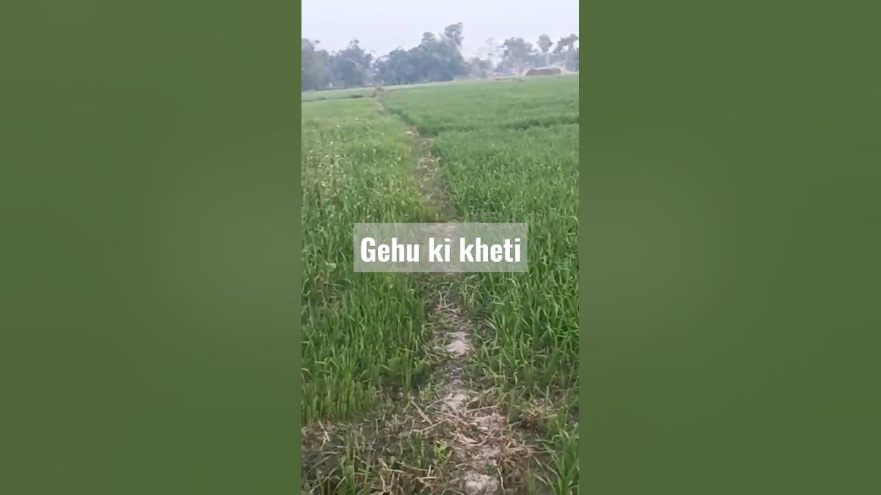 ke gao jani holi chapa