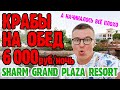 Sharm Grand Plaza Resort 5* - 1 серия. Муравьи в номере. Крабы в тарелке. Зелень на территории.