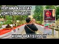 TONTON JIKA KALIAN BINGUNG MAU MASUK PAMERAN BONSAI !!! LOCAL BONSAI EXHIBITION PPBI JOMBANG