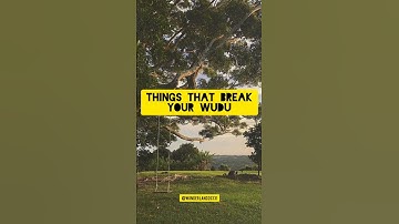 Things that Break Wudu..!! #islam #trending #shorts #viral