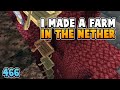 I Made A ___ Farm In The Nether Using 2368 Blocks