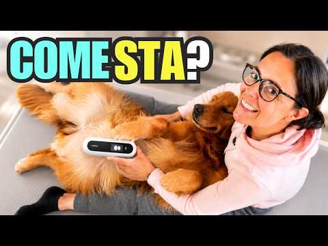 MEASURING YOUR DOG'S HEALTH: A Crazy Gadget