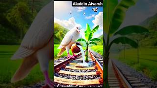A Banana tree was planted on the railway track. #shorts #trending #100millionviews #babifreitas