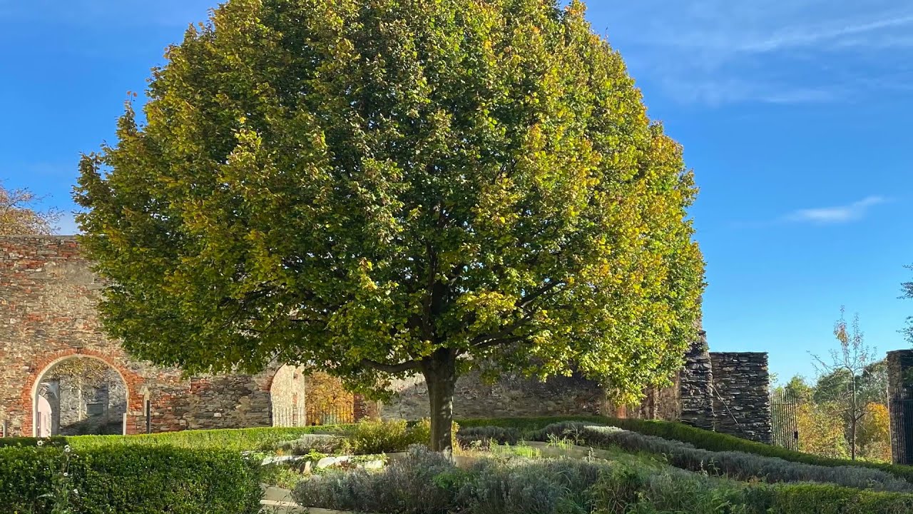 Interview über Fasten und Stille im Kloster Pernegg