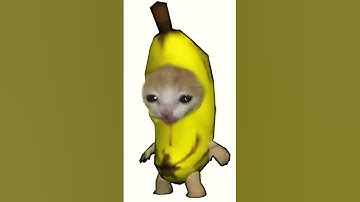 Thumbnail of Banana cat happy happy happy song
