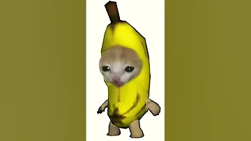 Banana Cat Happy Happy Happy Song 