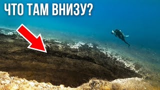 Можно ли выжить на дне Марианской впадины?