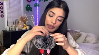 ASMR Slow Bug Searching 🐛(w/ Dry Mouth Sounds)