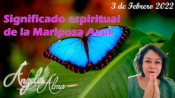 ¿Qué enfermedad representa la mariposa azul?