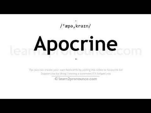 Pronunciation of Apocrine | Definition of Apocrine