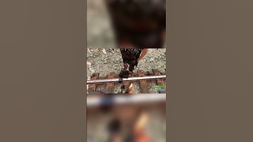 Good Luck Remedios | Rust Funny Moment