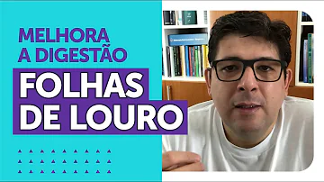 Quais são os benefícios do chá de folha de louro?