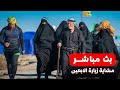 بث مباشر مشاية زيارة الأربعين نحو كربلاء المقدسة ليلة 2 صفر Live Arbaeen Walk بث مباشر مشاية زيارة الأربعين نحو كربلاء المقدسة ليلة 2 صفر Live Arbaeen Walk