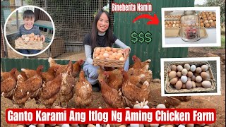 Ito Pala Ang Ginagawa Namin Sa Aming Mga Itlog|Na Harvest Araw-araw
