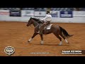 SJR Diamond Icon shown by Matt J Koch - 2022 Celebration of Champions,  Open Hackamore