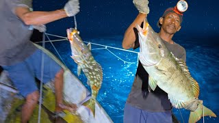 Merawai Ikan Besar dan Mancing Ikan Tongkol di Laut dalam #day15