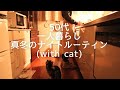【暮らしのvlog】猫と過ごす真冬のナイトルーティン／鍋焼うどん／田舎の夜／一人暮らし