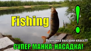 СУПЕР МАНКА-НАСАДКА! Приманка высший класс!!!