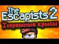 Хитрые тюремные крысы - The Escapists 2 Стрим прохождение