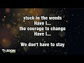 Sia  courage to change  karaoke version from zoom karaoke