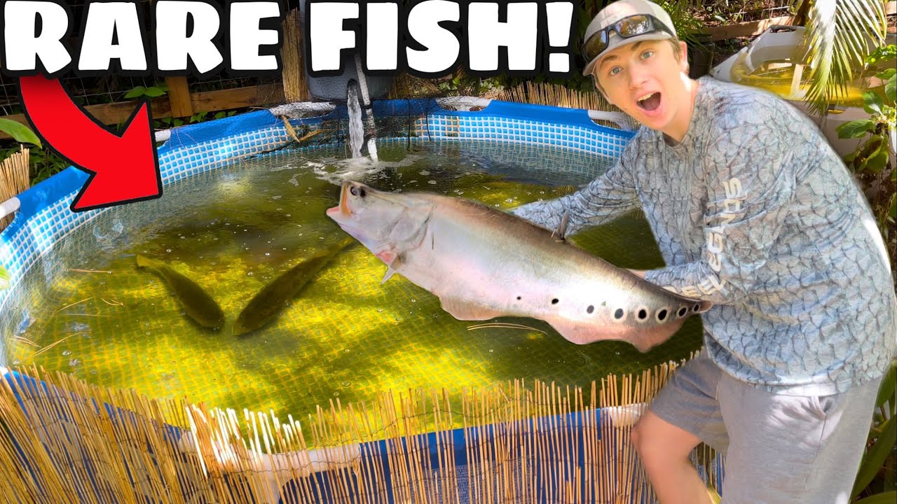 CATCHING *RARE* KNIFE FISH For My BACKYARD POND!! (NEW PET) 