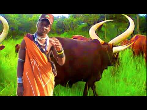 Masuluzu Ganziku Ujumbe Wa Kolasi