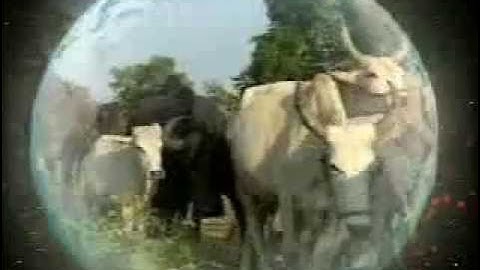 Nanotechnology :  The World of Nanotechnology Part 3