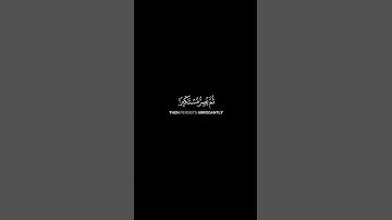 ما تيسر من سورة الجاثية | القرآن الكريم | القارئ ياسر الدوسري | كروما