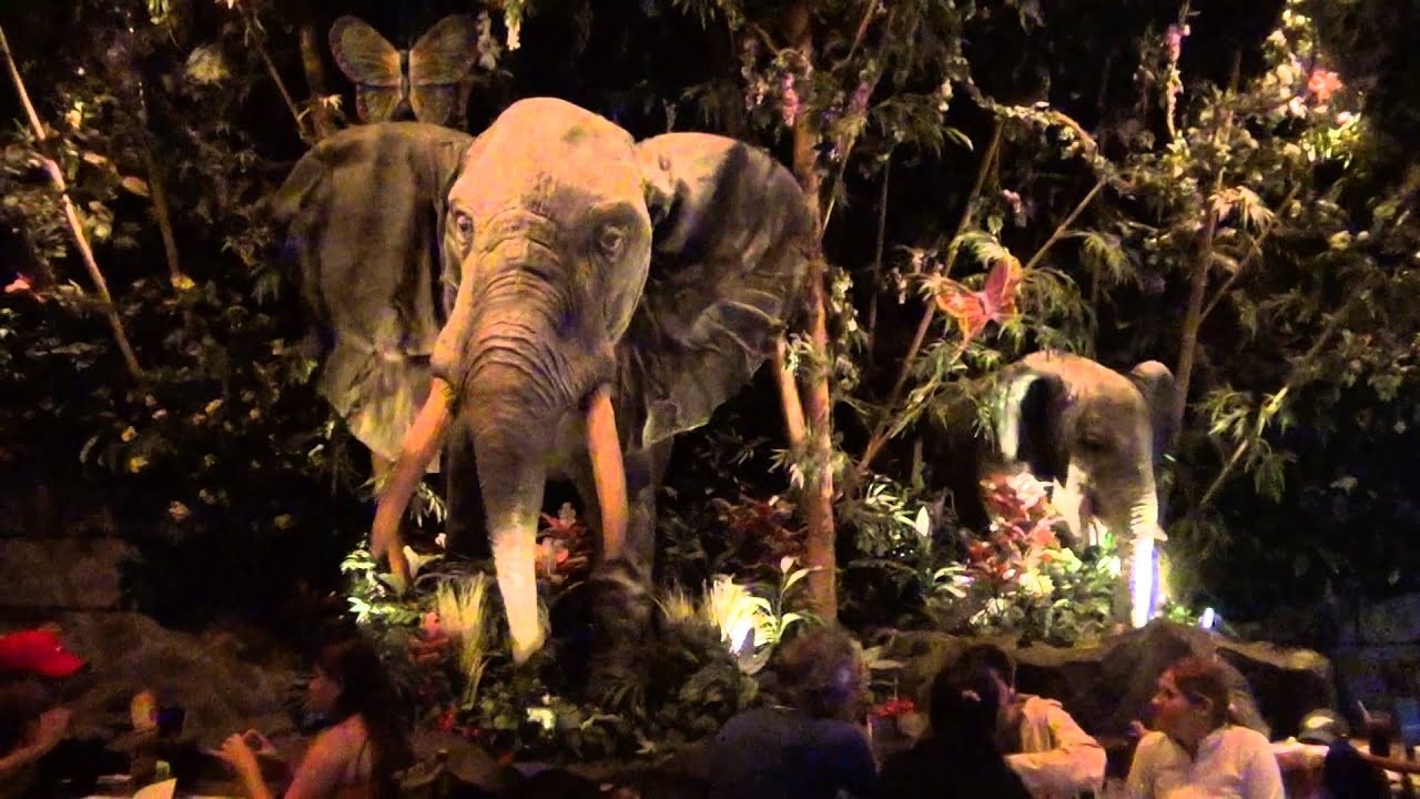 Rainforest Cafe  at Disney s Animal  Kingdom 8232013 YouTube