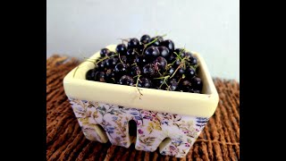 Black Currant. Two types of Preserves. Preserving 15 lb box of berries.