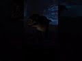 Elder Tyrannosaurus Rex 🦖| Prior Extinction | #shorts #roblox