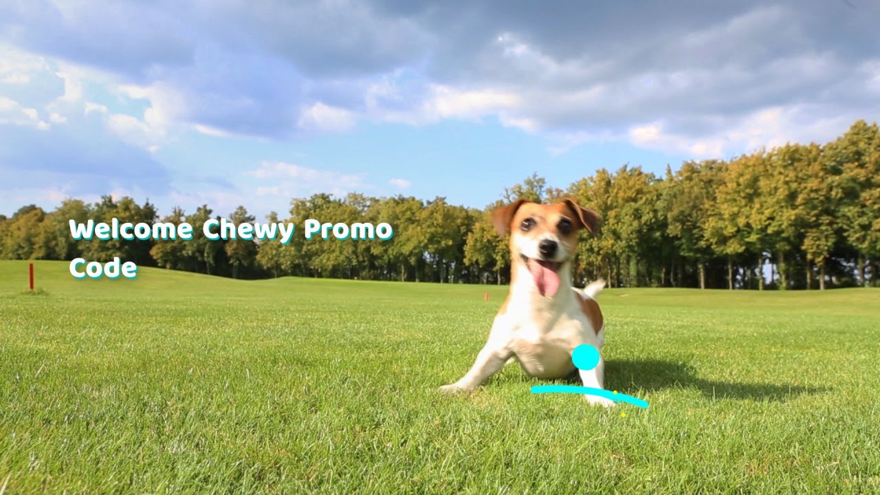 chewy-promo-code-chewy-promo-code-2020-youtube