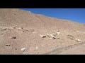 Around leh city ladakh leh lehcity roadtrip  bengalivlog