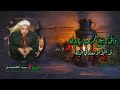 الشيخ سيد النقشبندي   وافى ربيع فمرحبا بهلاله   جودة عالية    حالتي