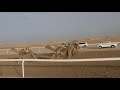 الشوط 5 نيه ل محسن سالم مبارك المنهالي 13 25 توقيت