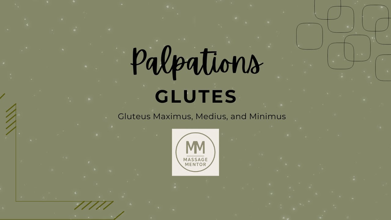 Glutes Palpation