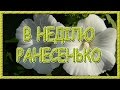 Українські пісні про кохання. В неділю ранесенько