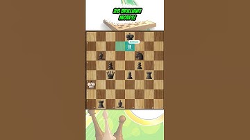 Chess game with 28 brilliant moves #chess #puzzlegame #chesspuzzle #chesstime #chesstactics