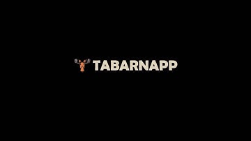Tabarnapp - Intro Video - Shopify Experts