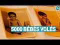 L'AFFAIRE DES BÉBÉS VOLÉS (Israël) - L'Effet Papillon