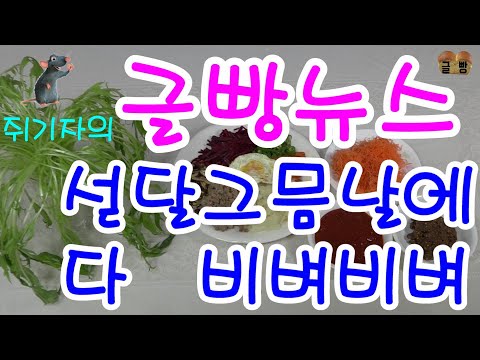   글빵 뉴스 Geulbbang News 섣달 그믐날 다 비벼비벼 먹방