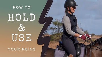 How To Hold And Use Your Reins On A Dressage Horse