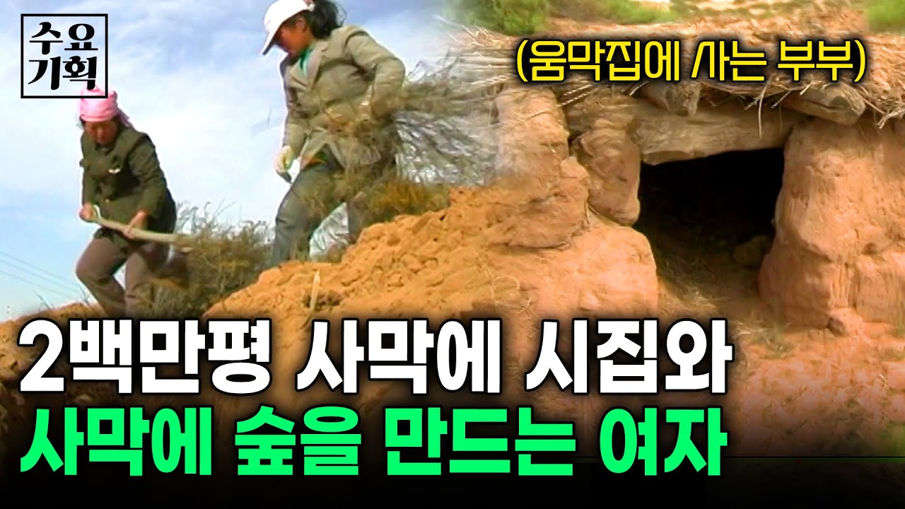 사람 하나 없는 사막에 살고 있는 한 부부. 오로지 살기 위해 200만평을 임대받아 나무를 심고 있다  [수요기획] | KBS 2006.04.05